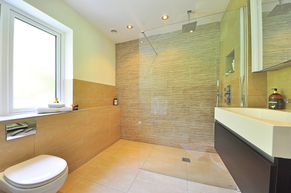 frameless glass shower doors, Dallas